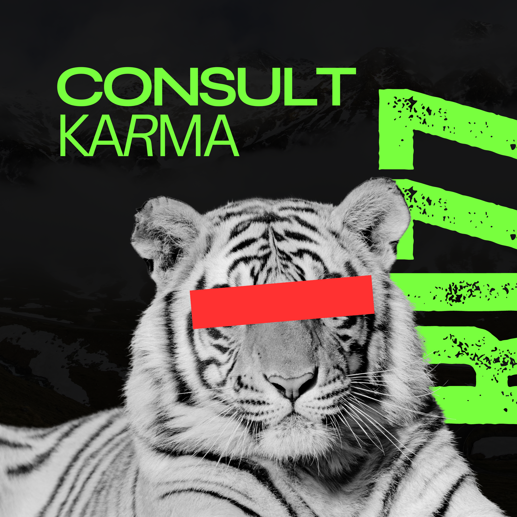 Consultation with Karmansum Agency
